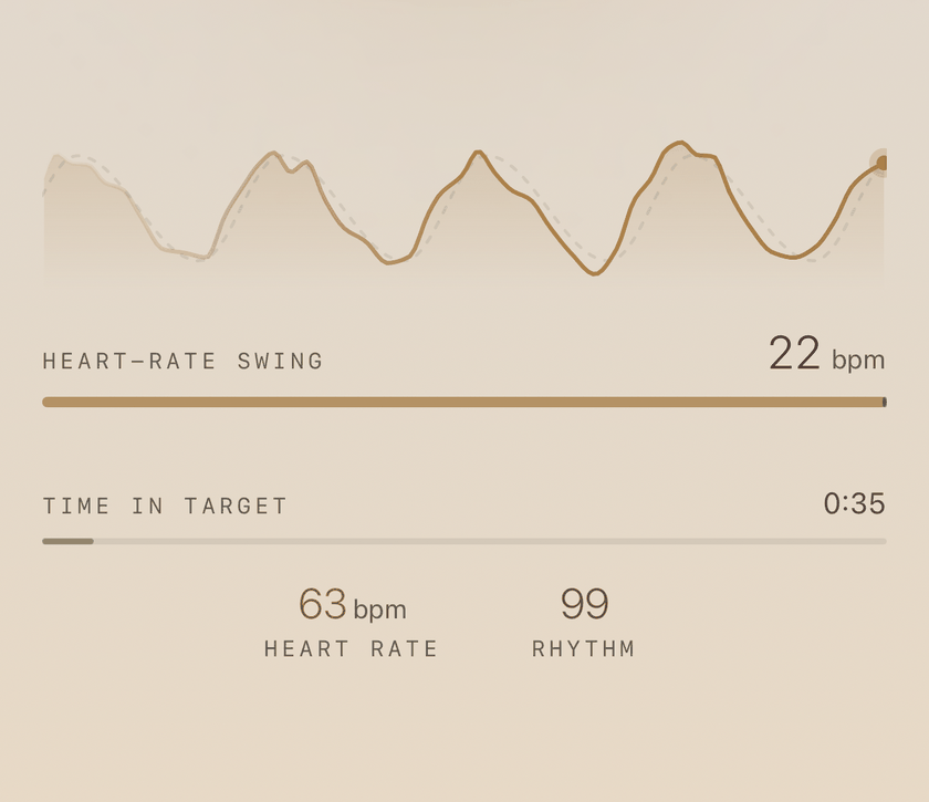 The lower half of a session screen: a solid line, the heart rate, rising and falling with a faint dashed line, the breath; beneath it the heart-rate swing, the time in target, the heart rate and Rhythm.