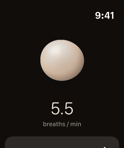 Herz on Apple Watch: the breathing stone above a pace of 5.5 breaths a minute.